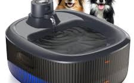 The Complete Guide to Wireless Dog Water Fountains: Convenience, Hydration, and Modern Design