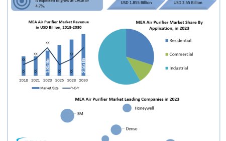 Rising Dust Storms Propel MEA Air Purifier Market Expansion