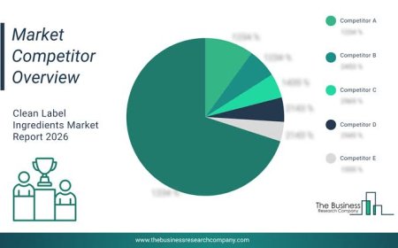 Fruits and Vegetables Ingredients Market Growth Driven by Clean-Label & Plant-Based Foods
