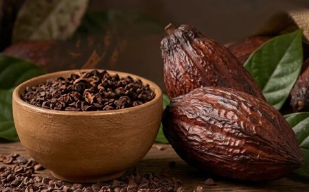 Roasted cacao nibs