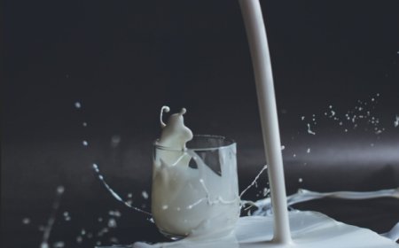How Grass Fed and Conventional Dairy Differ According to Current Research