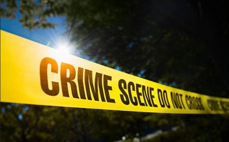Michigan Campus Crime Trends at Major Public Universities