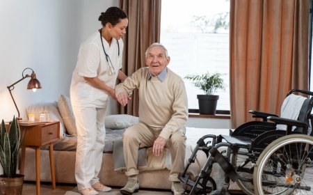 Aged Care Sylvia Vale and Crows Nest: Understanding Your Care Options