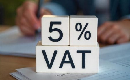 Financial Cube: Corporate Tax Agent Guide to Back Audits, VAT Compliance and Digital Assets in the UAE