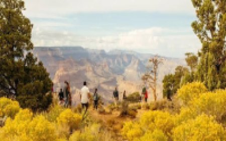 What Are Good Tips or Pieces of Advice Before Visiting the U.S. for the First Time?