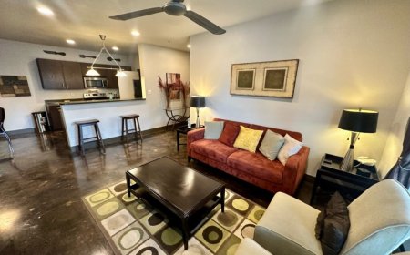 San Antonio Apartments and Lofts: Exploring Different Options for Urban Living