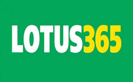 Lotus365 Online Gaming Platform: A Detailed Guide for New Users
