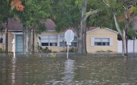 Best Flood Insurance Companies in Florida and What Buyers Miss