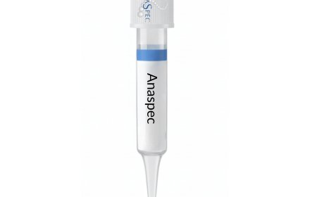 Elisa kits manufacturer in india – EC BioLabs: Accelerate Your Research with Precision-Driven Solutions