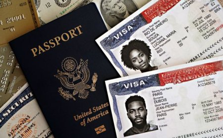 Work Visa Document Verification: Complete Guide & Tips
