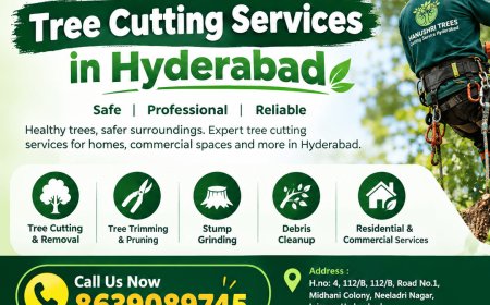 Tree Cutting Services in hyderabad