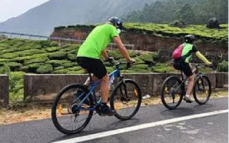 Pedalling Through the South: Exploring South India's Best Cycling Trails