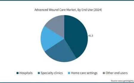 Bioactive Wound Care Market Analysis Reveals Emerging Opportunities Across the Global Healthcare Sector