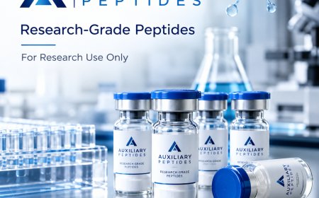 Auxiliary Peptides: Understanding Peptide Research Materials