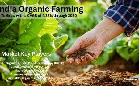 India Organic Farming Market Analysis: Key Drivers Behind 2026-2030 Growth