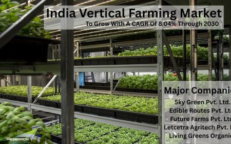 India Vertical Farming Market Thrives as Farmers Seek Water-Efficient Solutions