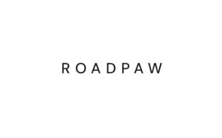 9 Practical Dog Essentials for Trips From Roadpawshop
