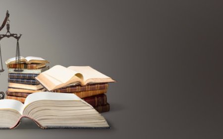 Identifying legal consumer protections under lemon law claims