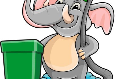 Trash Bin Cleaning Service for Cleaner and Odor-Free Bins