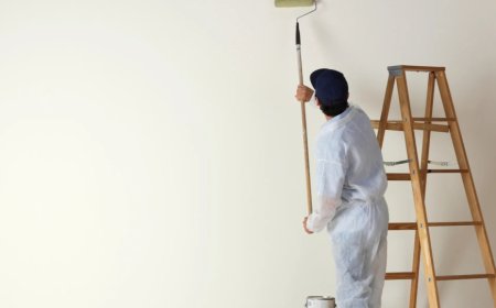 How to Identify a Reliable Residential Painting Company in Sydney
