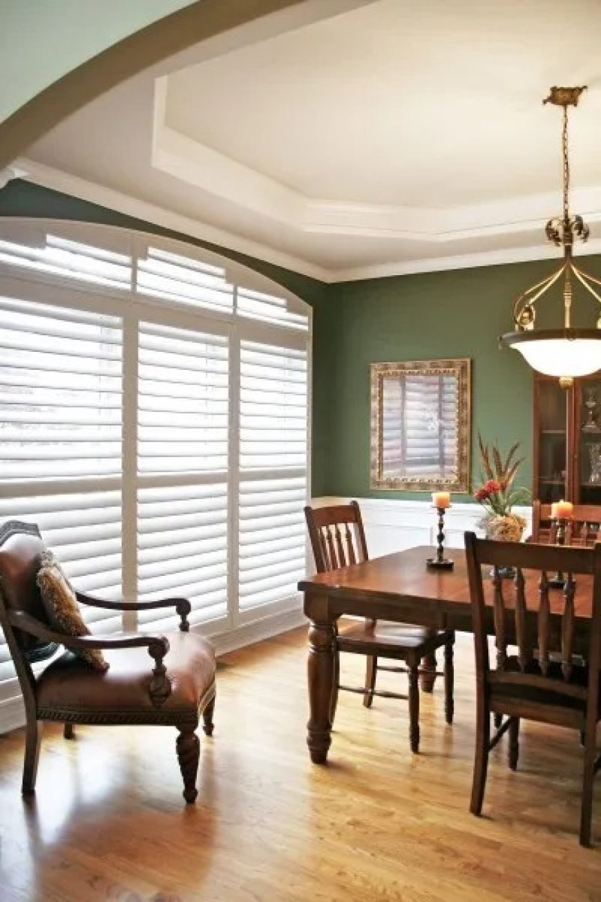 Roller Shades In Georgetown: Transform Your Windows With Milton Blinds