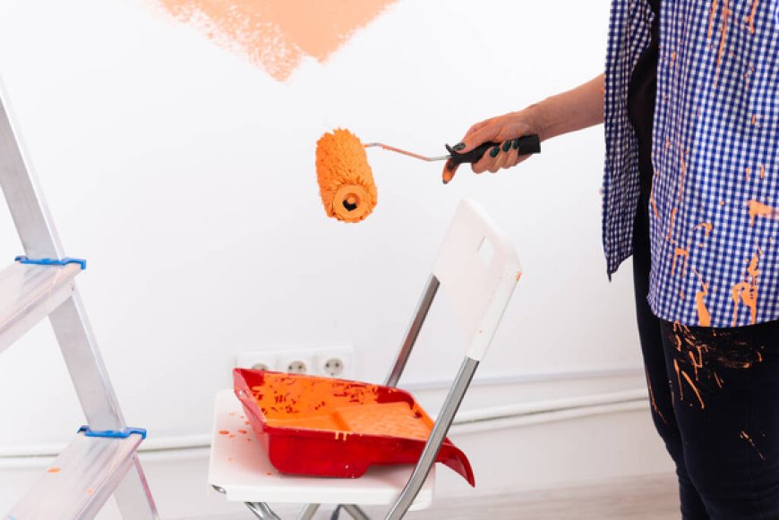 Best Paint Contractor Panchkula for Professional Home & Commercial Painting
