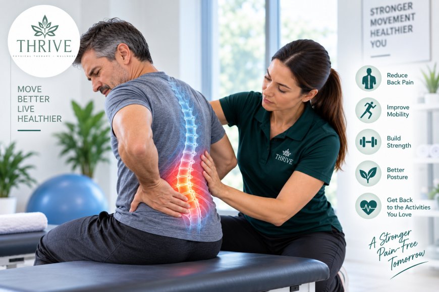 Back Pain Therapy: A Complete Guide to Pain Relief, Better Mobility, and Long-Term Recovery