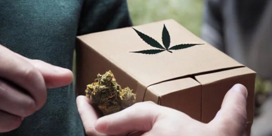 BC Weed Delivery: What Sets It Apart From the Rest of Canada?
