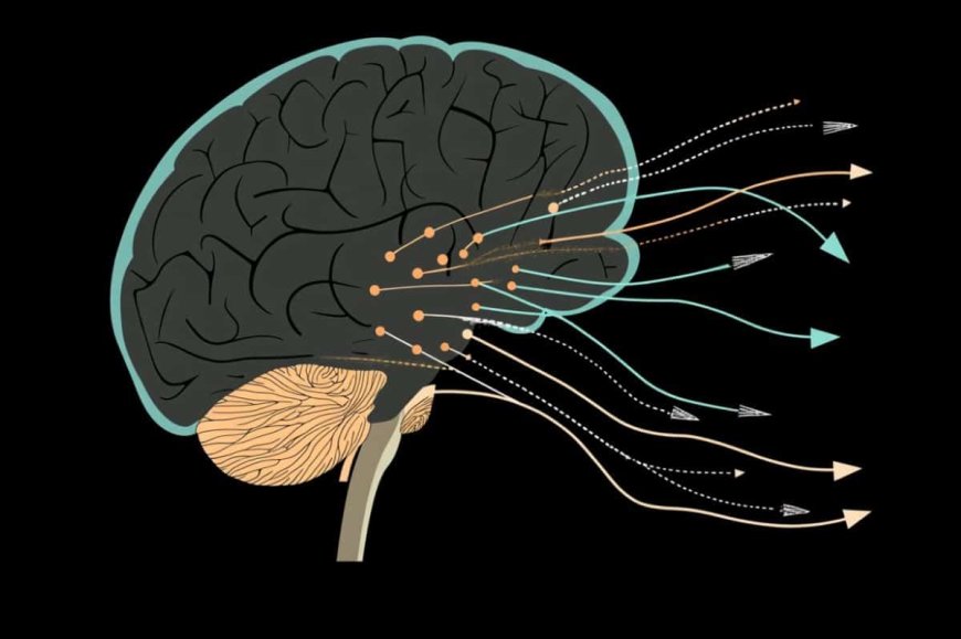 Memodyne: Neural Pathways