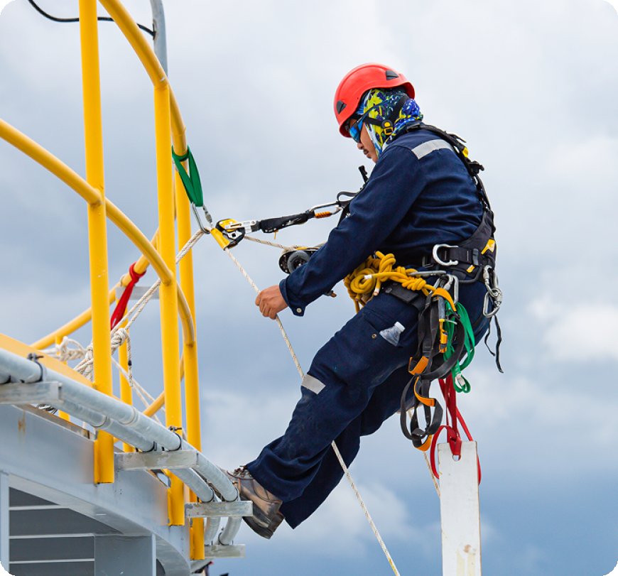 Fall Arrest System for Ladders: Ensuring Workplace Safety with Indianinovatix
