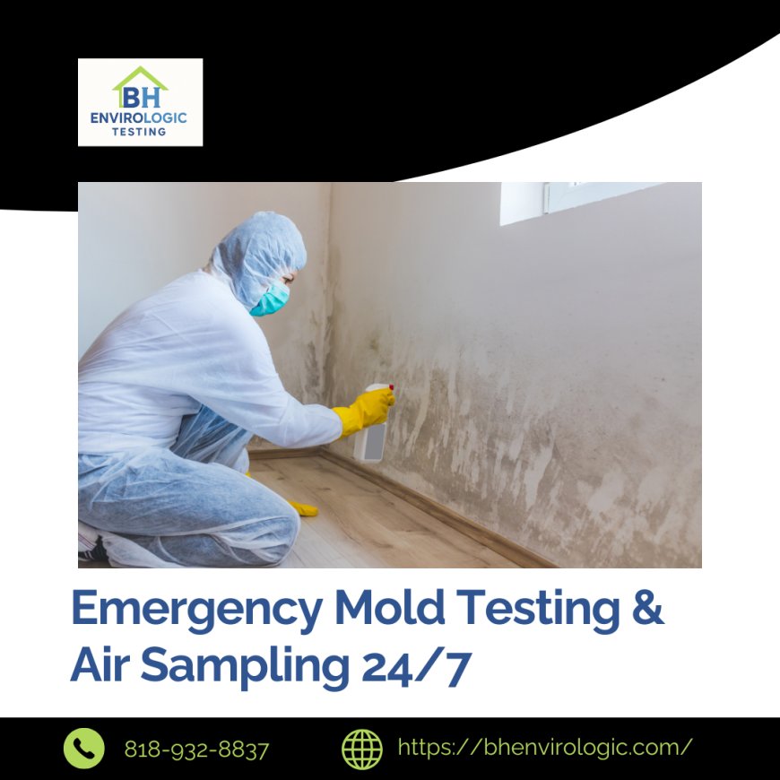 Airborne Mold Test Sherman Oaks CA: A Practical Guide to Mold and Indoor Air Concerns