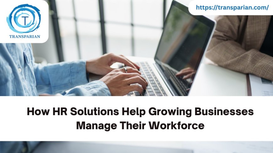 How HR Solutions Help Growing Businesses Manage Their Workforce