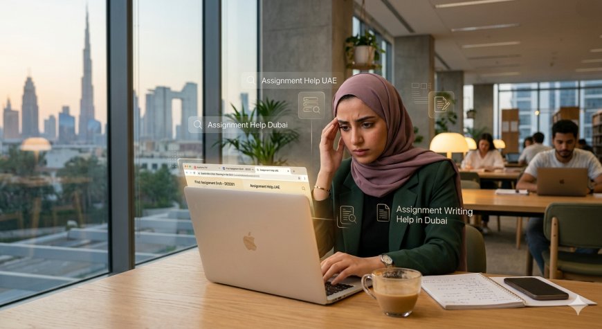What to Consider When Looking for Academic Research Support in the UAE