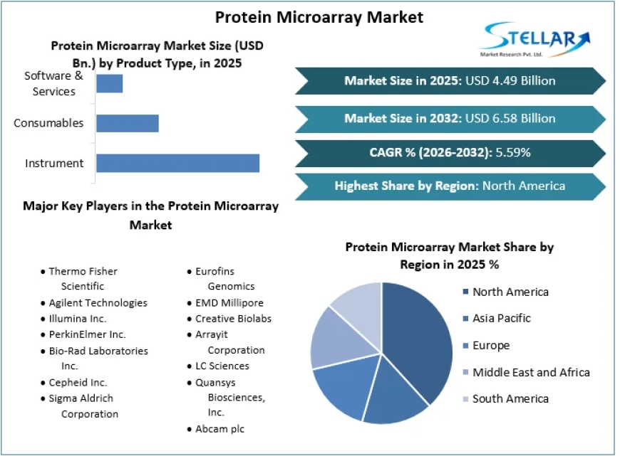 Next-Gen Drug Discovery Fuels 5.59% CAGR in Protein Microarray Market