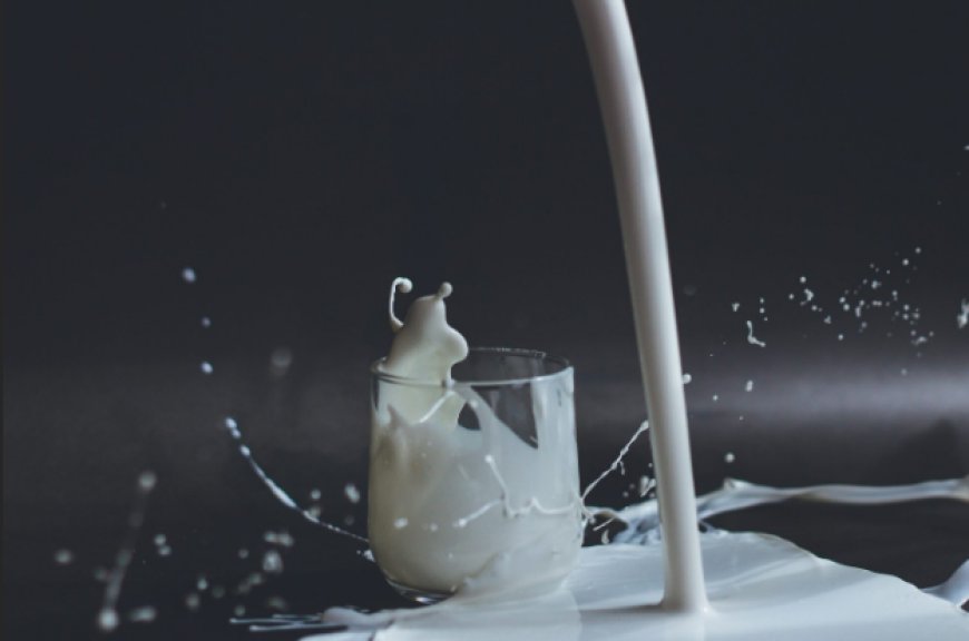 How Grass Fed and Conventional Dairy Differ According to Current Research