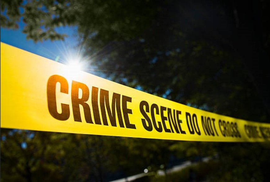Michigan Campus Crime Trends at Major Public Universities
