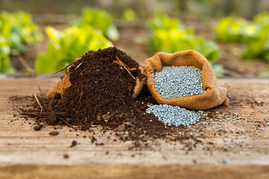 How Precision Nutrient Management Is Reshaping Specialty Fertilizer Use in Argentina