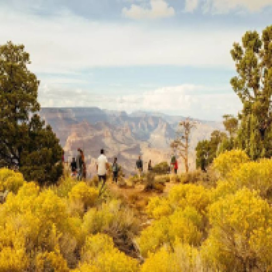 What Are Good Tips or Pieces of Advice Before Visiting the U.S. for the First Time?