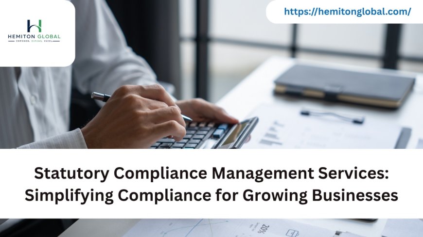 Statutory Compliance Management Services: Simplifying Compliance for Growing Businesses