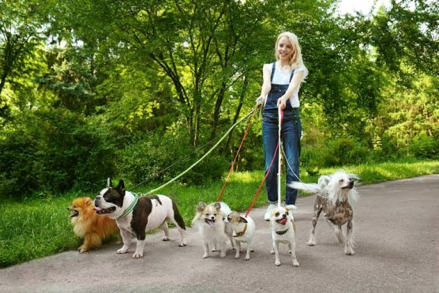 Are Dog Walkers Prices in New Orleans Different for Different Walk Lengths?