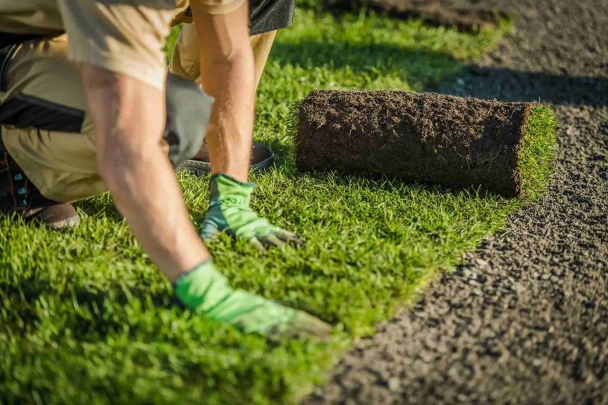 Synthetic Turf Guide: Benefits and What to Expect From Synthetic Grass Installation Sydney