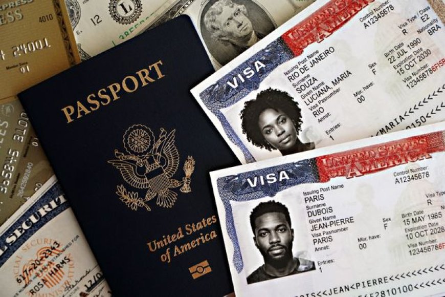 Work Visa Document Verification: Complete Guide & Tips