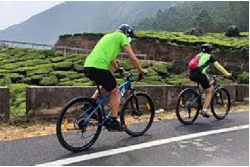 Pedalling Through the South: Exploring South India's Best Cycling Trails