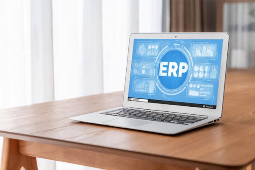 From Spreadsheets to ERP: When Should a Business Make the Switch?