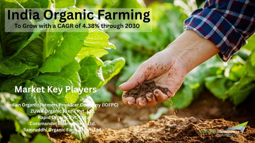 India Organic Farming Market Analysis: Key Drivers Behind 2026-2030 Growth