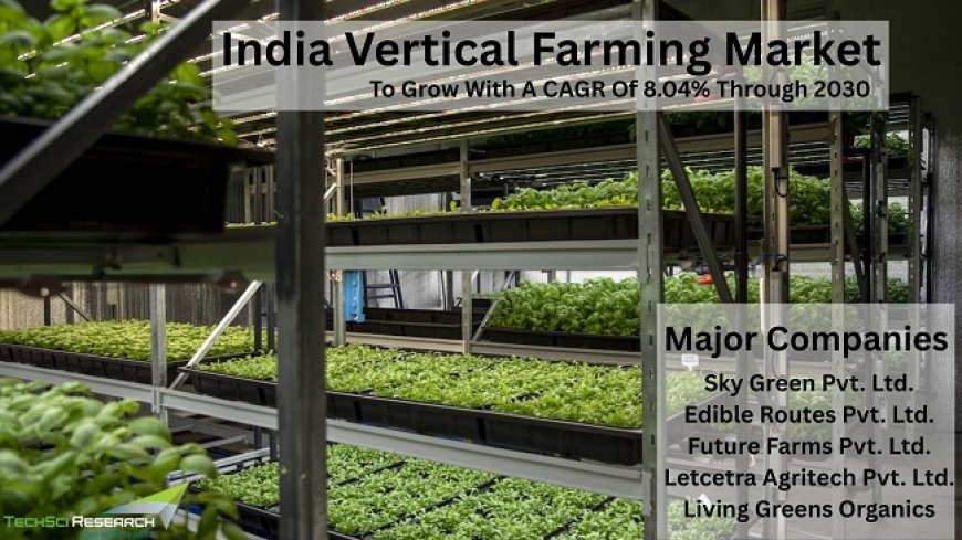 India Vertical Farming Market Thrives as Farmers Seek Water-Efficient Solutions