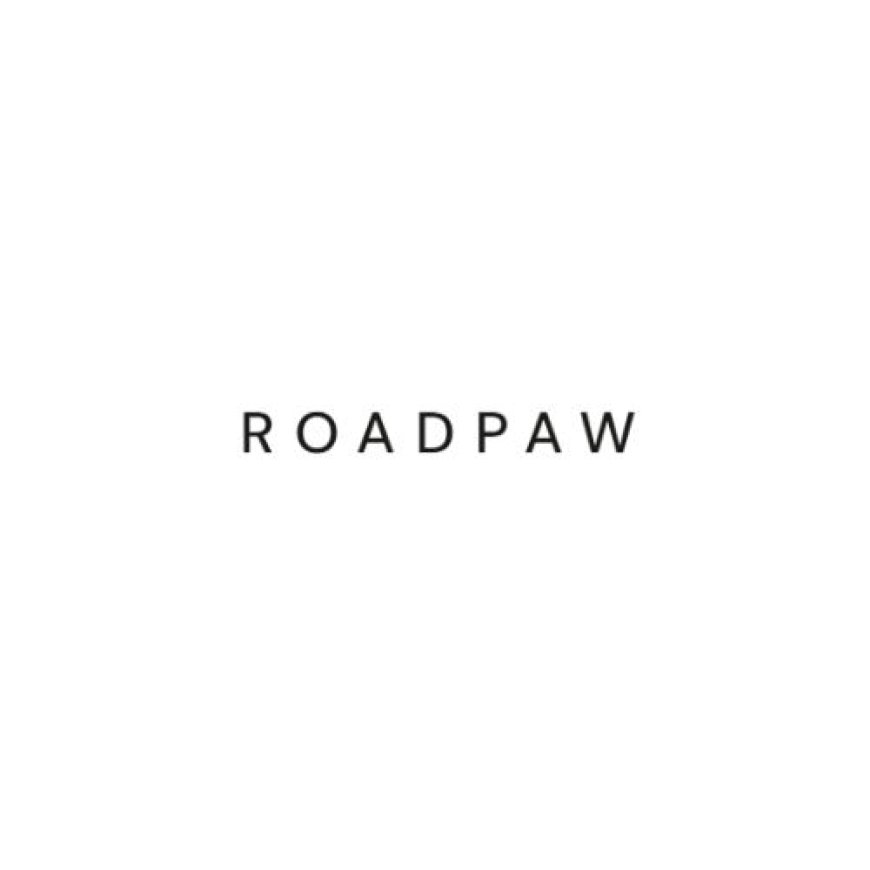 9 Practical Dog Essentials for Trips From Roadpawshop