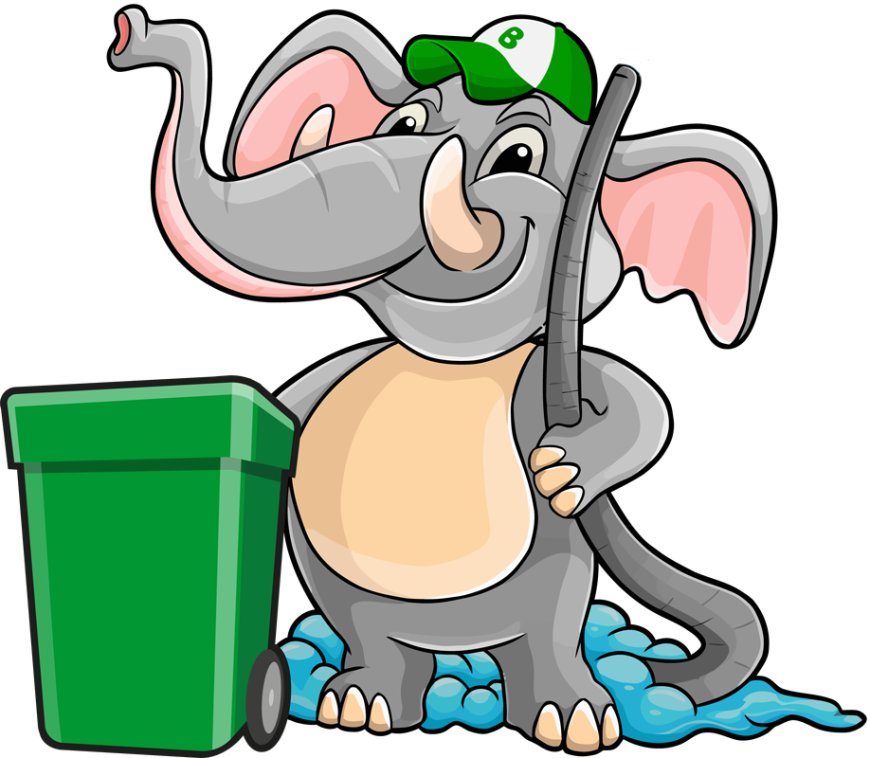 Trash Bin Cleaning Service for Cleaner and Odor-Free Bins