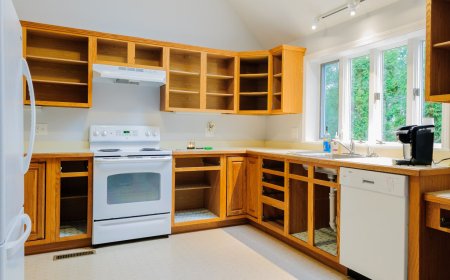 Kitchen Cabinet Replacement for a More Organized Kitchen