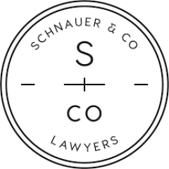 schnauerlawyer